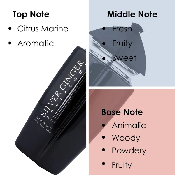 BN_Parfums_Silver_Ginger_Long_Lasting_100ml_Men_Perfume,_Aquatic,_Fresh_&_Woody,_Soothing_Fragrance