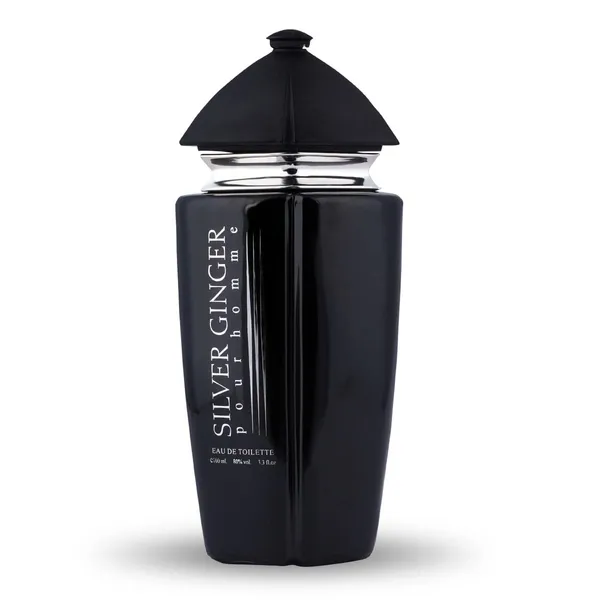 BN_Parfums_Silver_Ginger_Long_Lasting_100ml_Men_Perfume,_Aquatic,_Fresh_&_Woody,_Soothing_Fragrance