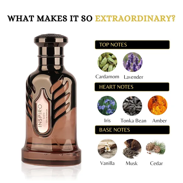 RiiFFS_INSPIRO_MEN_Eau_de_Parfum,_100_mL_For_men