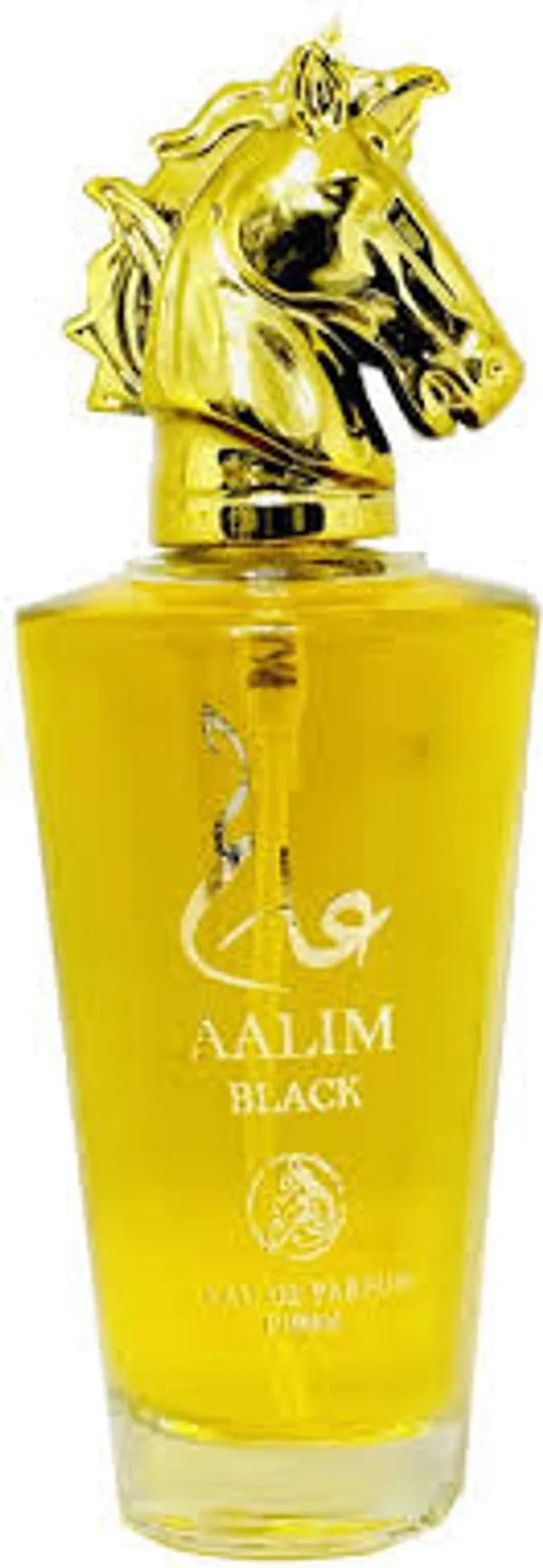 Al_Fakhr__Aalim_Black_Perfume_for_Man_|_Perfume_for_Men_Long_Lasting_Smell_|Smoky_&_Spicy_Notes_|100ml_Eau_De_Parfum_Men