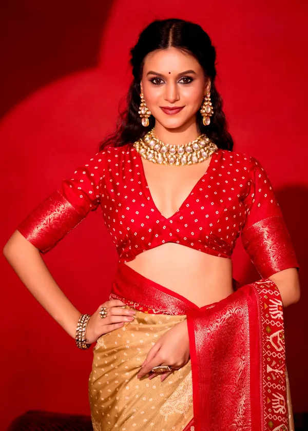 Dark_Beige_&_Red_Pure_Silk_Fabric_With_Dual_Color_Combination_Of_Exclusive_Bandhej_Print_With_Rich_Look_Jacquard_Border_Exclusive_Look_Saree