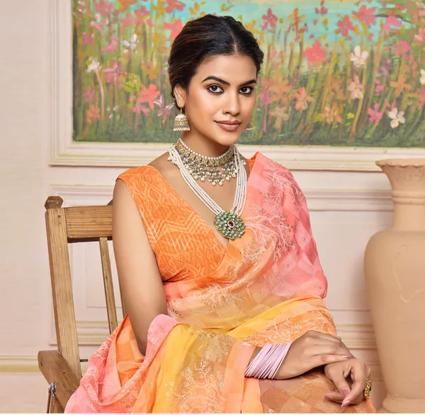 Orange_&_Pink_Elegant_Pastel_Brasso_Saree_With_A_Checkered_Design_&_Delicate_Embroidery_With_Heavy_Sequence_Blouse_Perfect_For_Festive_&_Special_Occasions