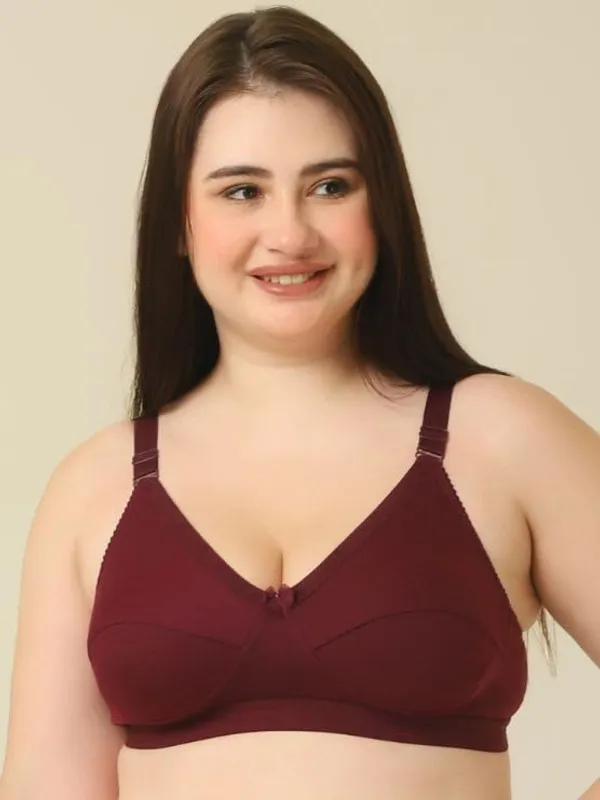 Maroon_Everyday_Non_Padded_Bra_Full_Support_Bra_Wirefree_Adjustable_Straps_Anti_Bacterial_For_Women