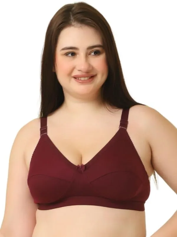 Maroon_Everyday_Non_Padded_Bra_Full_Support_Bra_Wirefree_Adjustable_Straps_Anti_Bacterial_For_Women