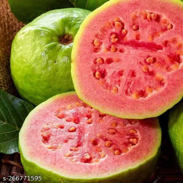 Red_Guava_tree