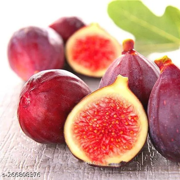 Fig_plant