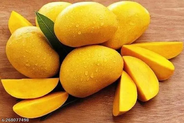 Himsagar_mango_tree