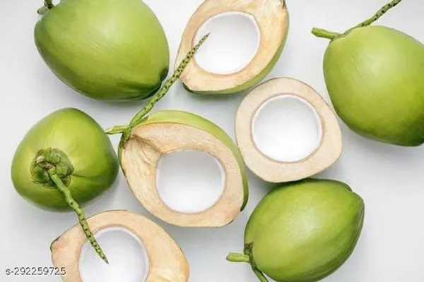 Kerala_Coconut_plant_tree