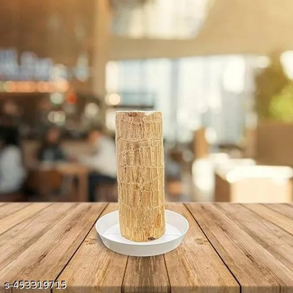 Brazil_Wood_Lucky_Bamboo_(pack_of_1)