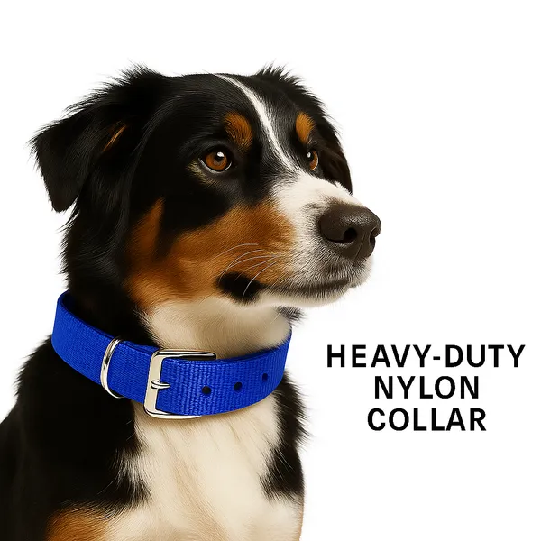 Blue_Polyester_And_Metal_Collar_And_Chain_For_Small_Puppy