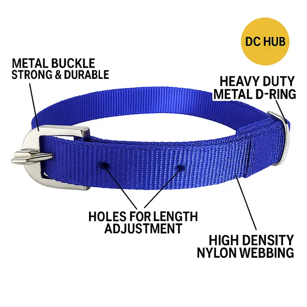 Blue_Polyester_And_Metal_Collar_And_Chain_For_Small_Puppy