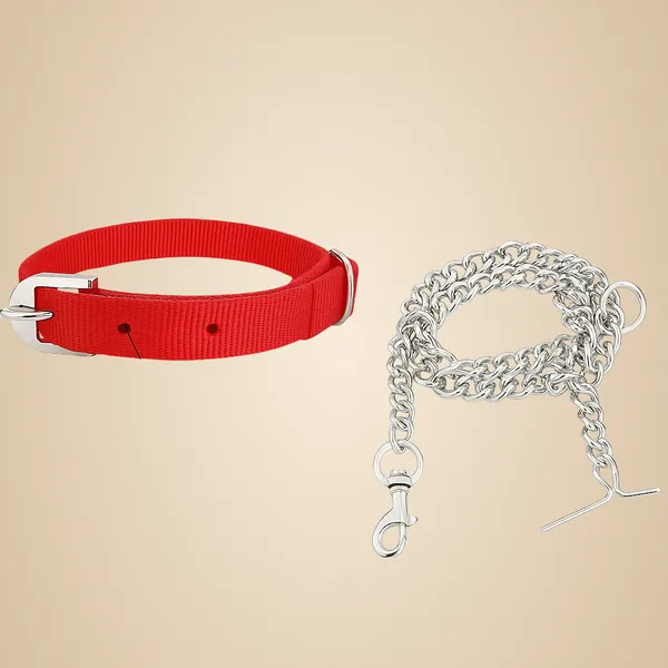 Red_Polyester_And_Metal_Collar_And_Chain_For_Small_Puppy