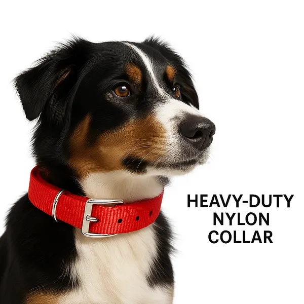 Red_Polyester_And_Metal_Collar_And_Chain_For_Small_Puppy