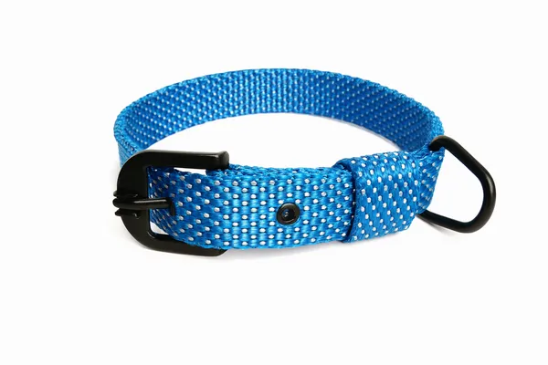 Blue_Nylon_Doted_Dog_Collar_For_Large_Dog_Like_,_Pitbul,_Rottweller,_German_Etc