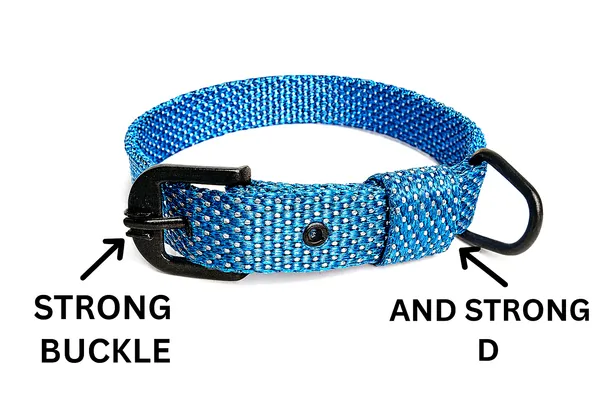 Blue_Nylon_Doted_Dog_Collar_For_Large_Dog_Like_,_Pitbul,_Rottweller,_German_Etc