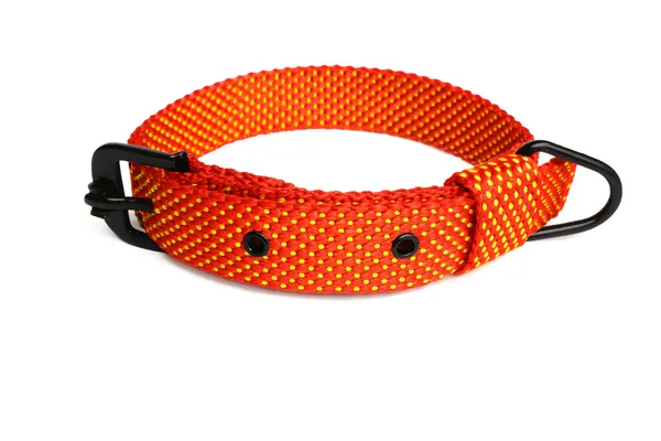 Orange_Nylon_Doted_Dog_Collar_For_Large_Dog_Like_,_Pit-bull,_Rottweiler,_German_Etc.