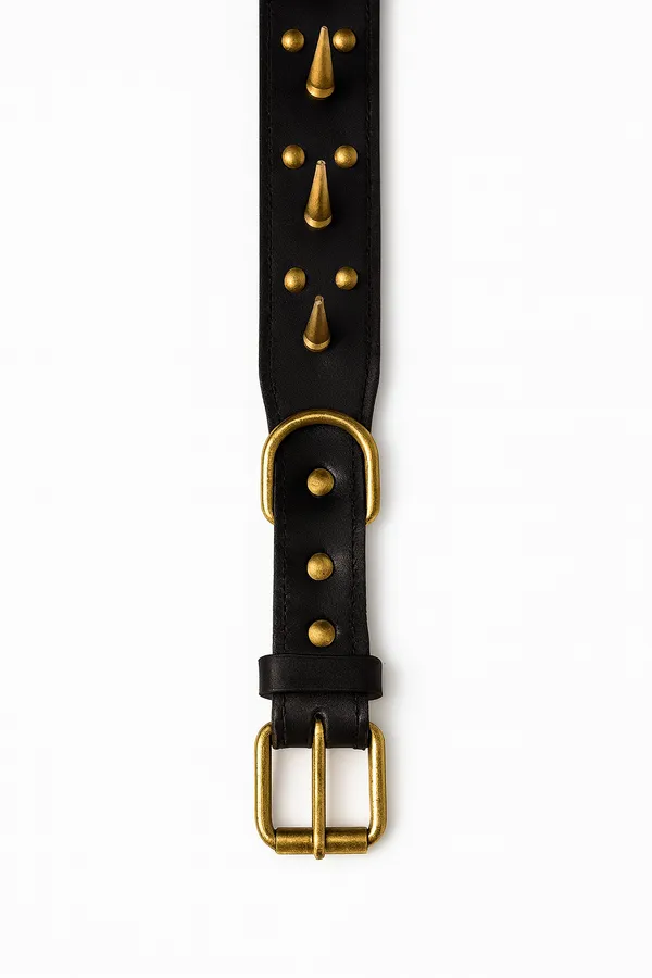 Black_Leather_Dog_Collar_For_Large_Dog_Like_,_Pitbul,_Rottweller,_German_Etc