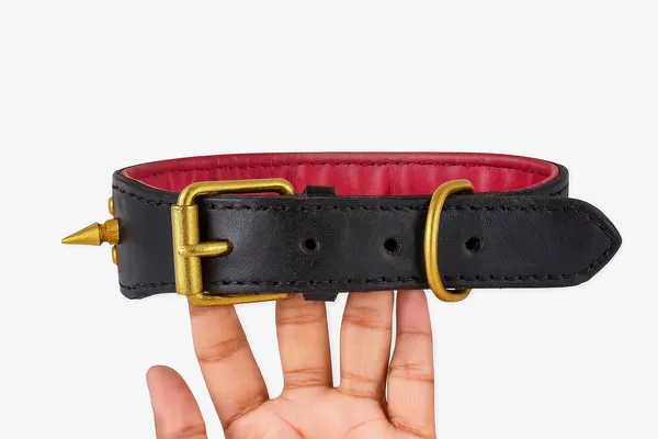 Black_Leather_Dog_Collar_For_Large_Dog_Like_,_Pitbul,_Rottweller,_German_Etc