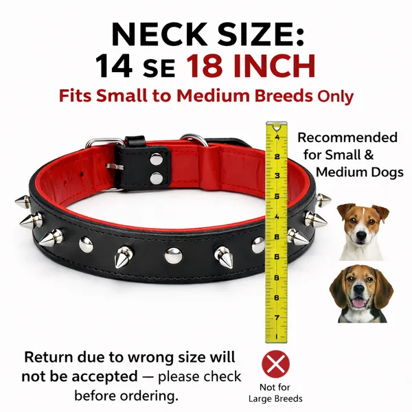 Premium_1_Inch_Genuine_Leather_Spike_Dog_Collar_–_Strong_&_Stylish