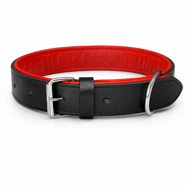 Premium_Genuine_Leather_Double_Spike_Dog_Collar_|_Strong,_Durable_&_Adjustable