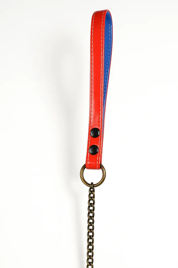 Red_Metal_Half_Lead_Chain_For_Dog_Medium
