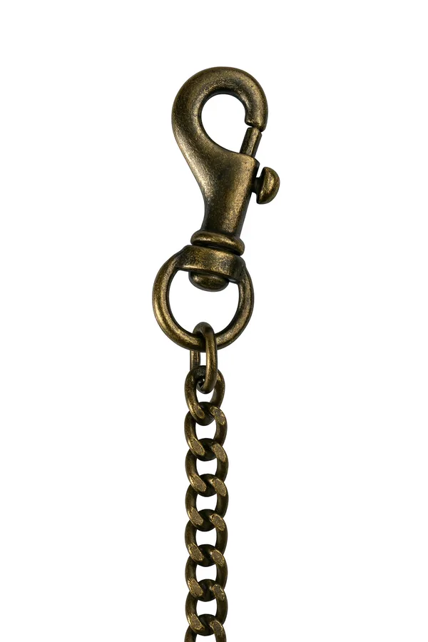 Red_Metal_Half_Lead_Chain_For_Dog_Medium