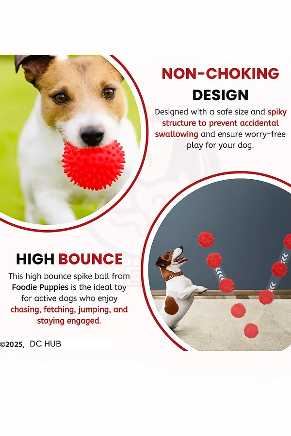 Red_Rubber_Chew_Toy_For_For_Dog