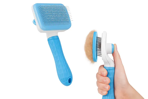 Blue_Plastic_Sleeker_For_Dog_And_Cat