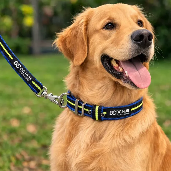 Strong_Polyester_Dog_Leash_&_Collar_Set_|_China_Imported_Heavy_Hook_|_Blue_&_Green_Striped_|_Durable_for_Medium_&_Large_Dogs”