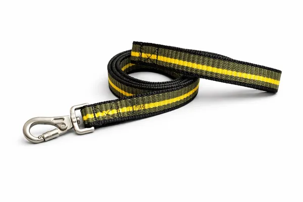 Strong_Polyester_Dog_Leash_&_Collar_Set_|_China_Imported_Heavy_Hook_|_Yellow_&_Green_Striped_|_Durable_for_Medium_&_Large_Dogs”
