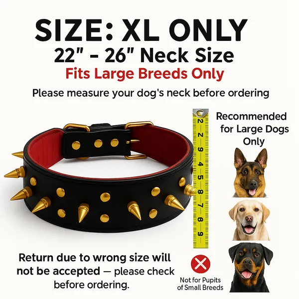 Black_Leather_Dog_Collar_For_Large_Dog_Like_,_Pitbul,_Rottweller,_German_Etc
