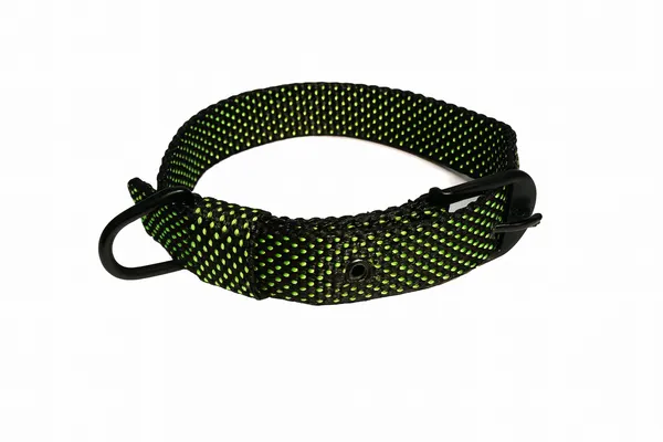 Green_Nylon_Dotted_Dog_Collar_For_Large_Dog_Like_,_Pitbull,_Rottweiler,_German_Etc