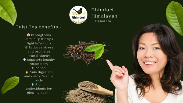 Ghinduri_Himalayan_Herbal_Tulsi_Tea_(Holy_Basil)_|_Stress_Relief_&_Immunity_Booster_|_Pure_Organic_Leaf_Infusion_|_Caffeine-Free_|_50g_Loose_Leaf