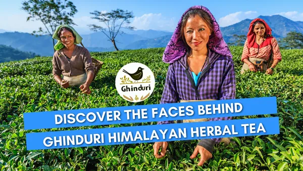 Himalayan_Herbal_Rhododendron_Tea_Pure_Pahadi_Buransh_100%_Natural_Detox_Herbal_Caffeine-Free_Wellness_Immunity_Booster_|_100G_Pack_for_a_month