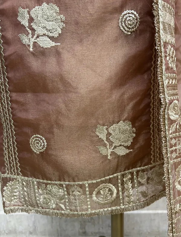 Tissue_Organza_Unstitched_Suit_Set_With_Tissue_Organza_Dupatta_Light_Green