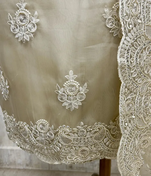 Glass_Organza_Unstitched_Suit_Set_With_Glass_Organza_Dupatta_Beige