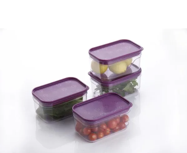 Multicolor_Arto_Clear_Food_Storage_Containers_With_Purple_Lids,_Rectangular_Shape,_Pack_Of_5