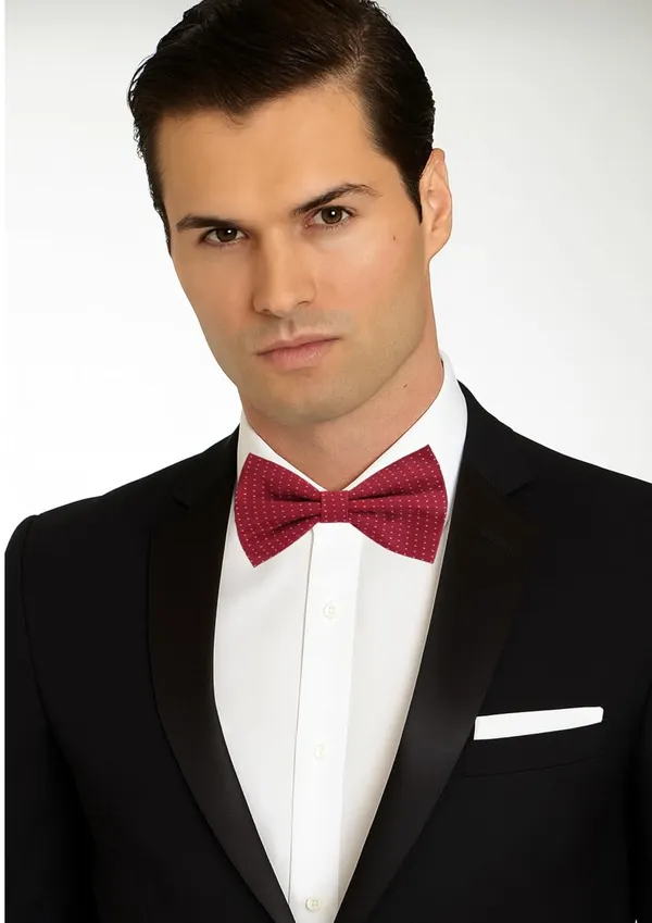 Random_Stripe_Bow_Tie_For_Men_Polka-Dots_Bowties
