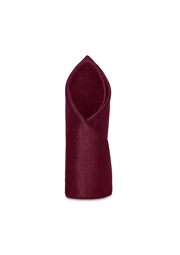 Tie_Set_For_men_Includes_necktie,_matching_pocket_square_&_stylish_crown_brooch_with_chain.