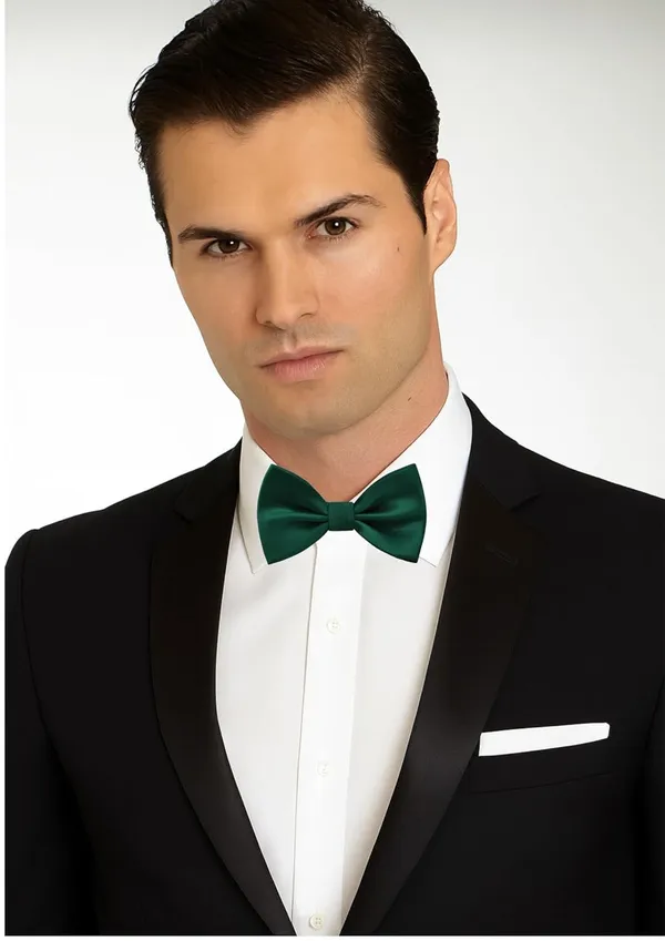 Random_Stripe_Premium_Satin_Bow_Tie_with_Designer_Brooch_�_10_Color_Options