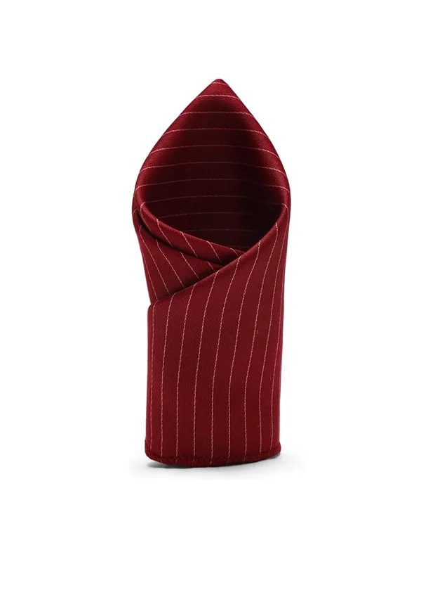 necktie_For_Men_Complete_Combo_Set_�_Stylish_necktie,_matching_pocket_square_&_premium_brooch_included_Self-Lining
