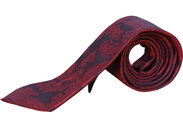 Random_Stripe_Mens_Paisley_Tie_and_Lapel_Pin_Necktie_Hankerchief_Cufflinks_Set_for_Men_(Pack_of_5)