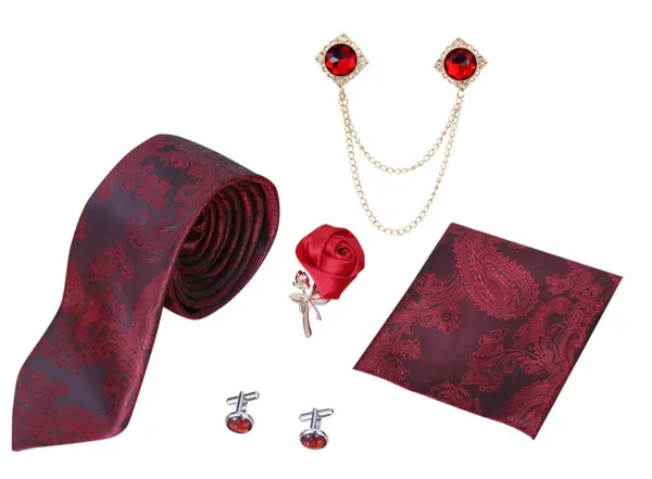 Random_Stripe_Mens_Paisley_Tie_and_Lapel_Pin_Necktie_Hankerchief_Cufflinks_Set_for_Men_(Pack_of_5)