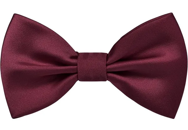 Random_Stripe_Premium_Satin_Bow_Tie_with_Designer_Brooch_�_10_Color_Options