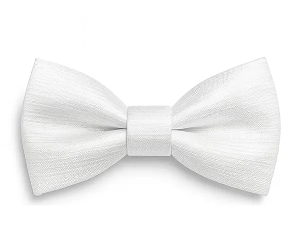 Premium_Bow_Tie_&_Pocket_Square_Combo_for_Men_�_Pre-Tied_Adjustable_Bowtie_with_Matching_Handkerchief_|_Perfect_for_Wedding,_Party_&_Formal_Wear_(Available_in_9_Colors)