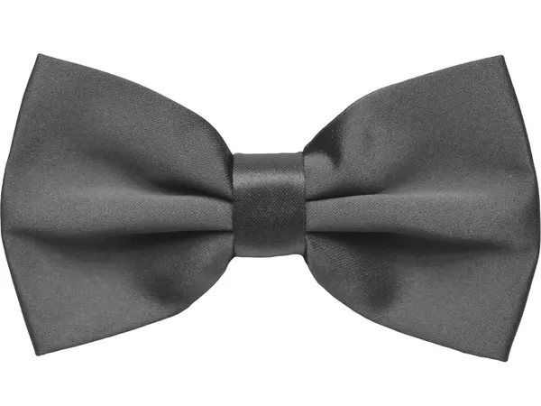 Random_Stripe_Premium_Satin_Bow_Tie_with_Designer_Brooch_�_10_Color_Options