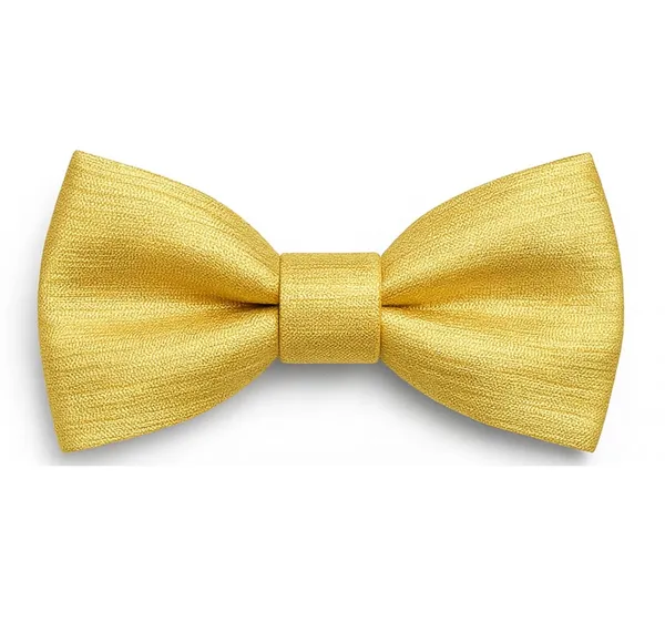 Men's_Premium_Satin_Bow_Tie_with_Royal_Gemstone_Brooch_�_12_Colors_Elegant_Combo_for_Party,_Wedding_&_Formal