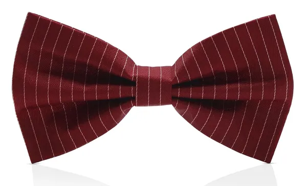 Random_Stripe_Bow_Tie_For_Men_With_Stylish_Brooch_Self-Lining_Micro_Fiber_BowTie