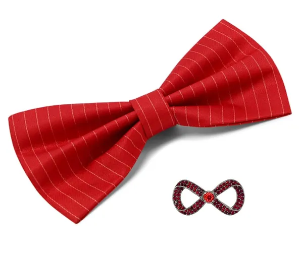 Random_Stripe_Bow_Tie_For_Men_With_Stylish_Brooch_Self-Lining_Micro_Fiber_BowTie