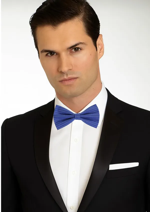 Random_Stripe_Bow_Tie_For_Men_Polka-Dots_Bowtie